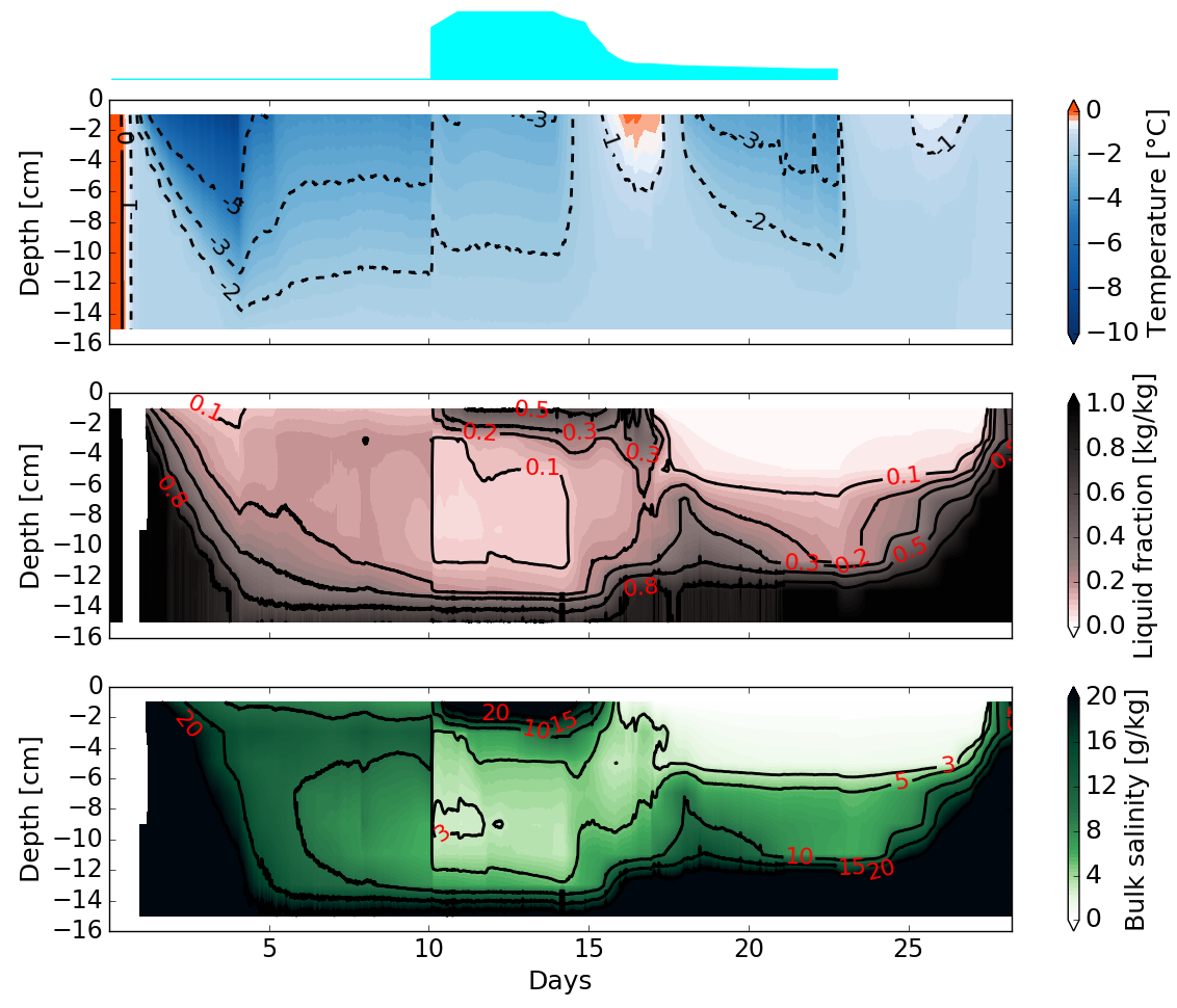 The impact of snow on sea-ice salinity