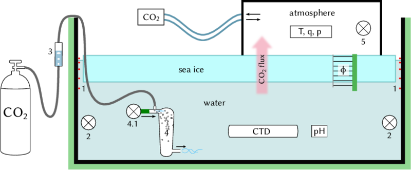 CO2 diffusion through sea ice